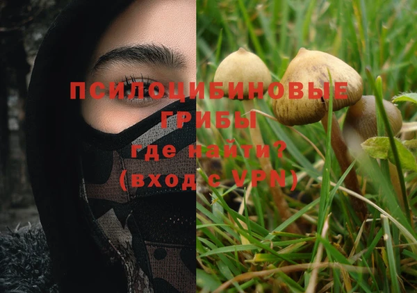 ПСИЛОЦИБИНОВЫЕ ГРИБЫ Арсеньев