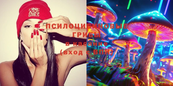 ECSTASY Армянск