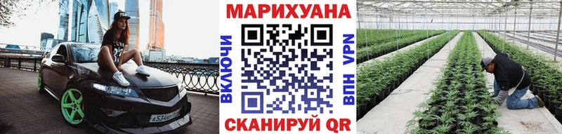 Бошки марихуана AK-47  купить   Сосновый Бор 